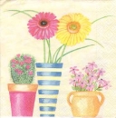 Serviette Blumen im Topf, Kaktus, Rarität